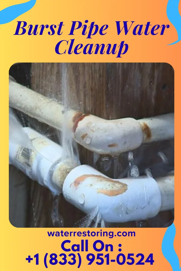 Burst Pipe Water Cleanup in Royal, NE