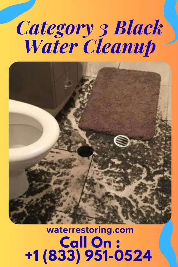 Category 3 Black Water Cleanup in Royal, NE