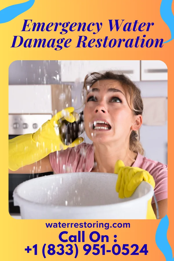 Emergency Water Damage Restoration in Royal, NE