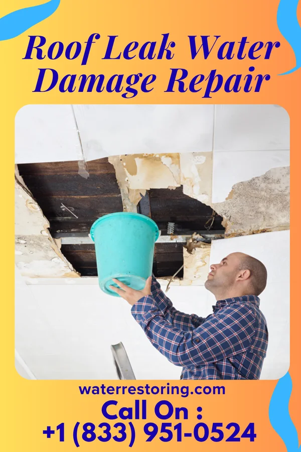 Roof Leak Water Damage Repair in Royal, NE